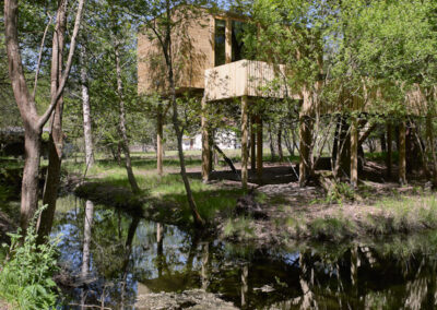 Cabaña de madera en entorno