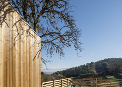 Entorno cabañas de madera