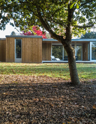 Fachada de madera diseño árbol