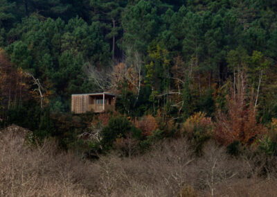 Cabañas de madera integradas en el bosque